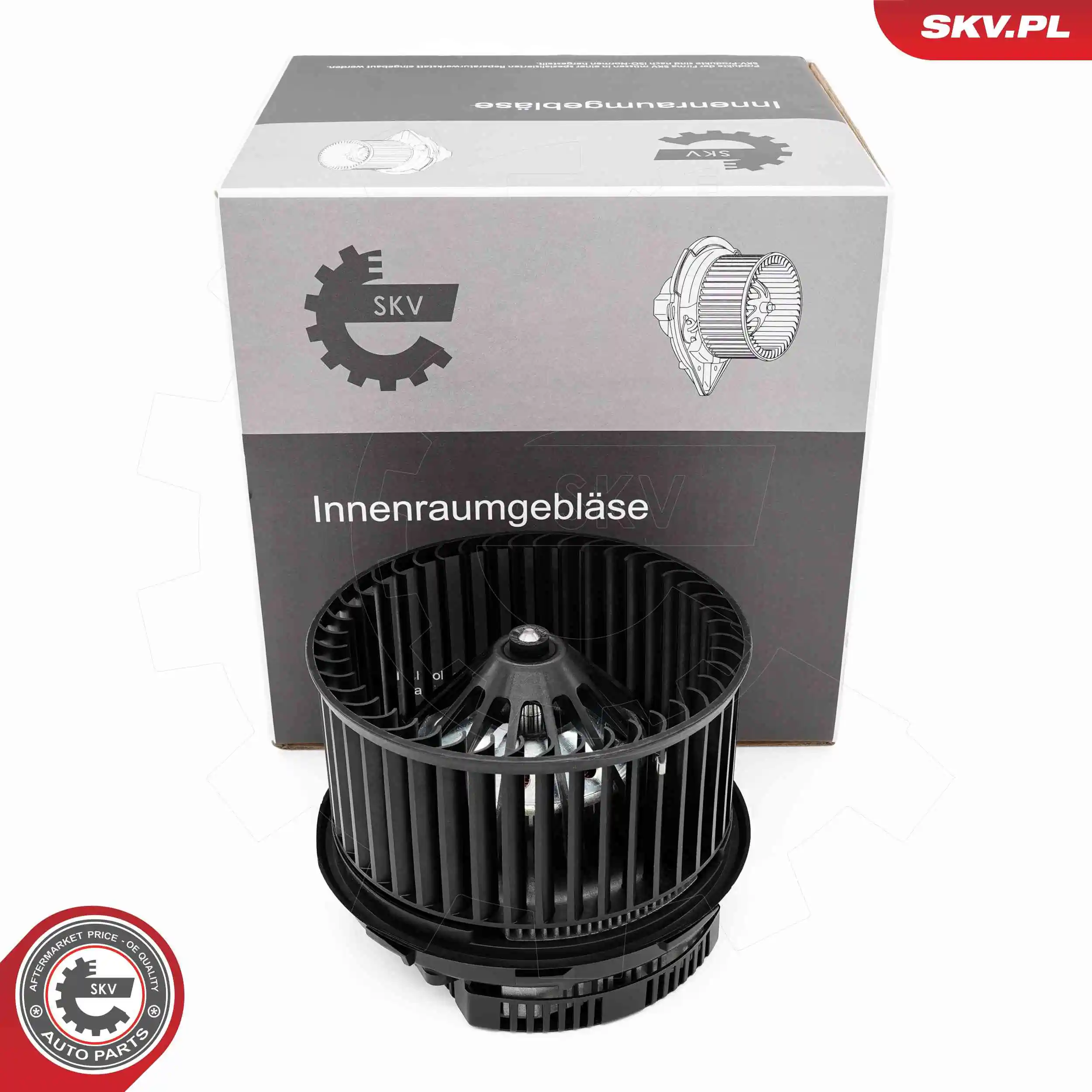 Interior Blower